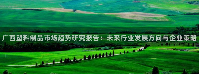 太阳集团旗下品牌：广西塑料制品市场趋势研究报告：未来行业发展