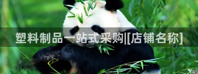 太阳集团网站入口官网网址：塑料制品一站式采购|[店铺名称]