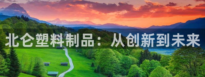 太阳老板身价：北仑塑料制品：从创新到未来