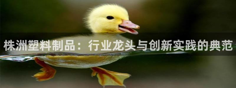 太阳集团1088vip：株洲塑料制品：行业龙头与创新实践的典