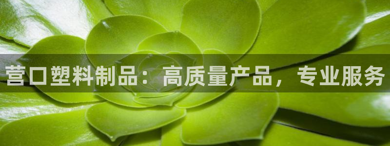 澳门太阳成城集团洗米华：营口塑料制品：高质量产品，专业服务