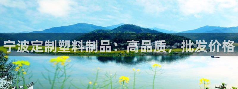 太阳集团网站入口官网网址：宁波定制塑料制品：高品质，批发价格