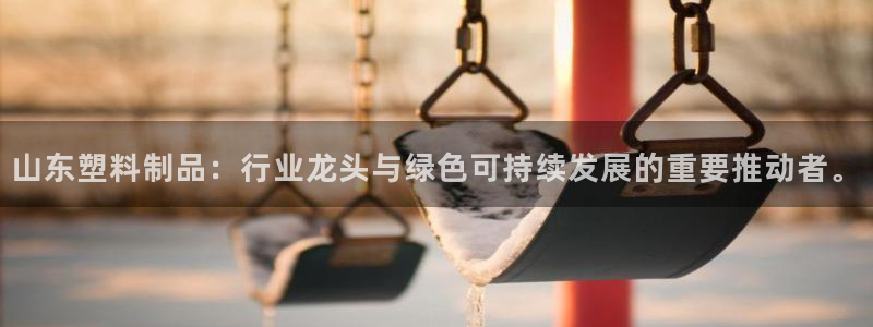 太阳gg平台注册：山东塑料制品：行业龙头与绿色可持续发展的重