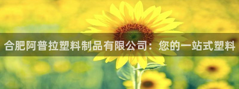 太阳诚集团是什么：合肥阿普拉塑料制品有限公司：您的一站式塑料