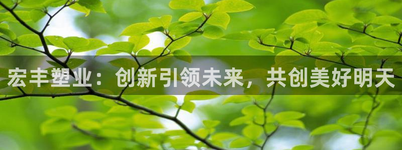 古天乐只有太阳能黑：宏丰塑业：创新引领未来，共创美好明天
