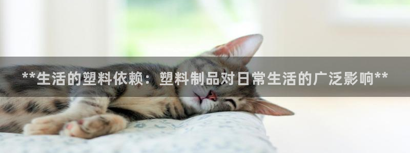 太阳集团董事长的儿子：**生活的塑料依赖：塑料制品对日常生活