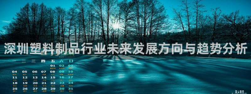 太阳控股集团有限公司董事长：深圳塑料制品行业未来发展方向与趋